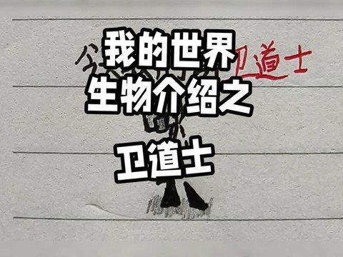 我的世界道士有什么用[图1]