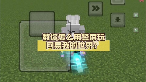 我的世界怎么联机手机新版[图1]