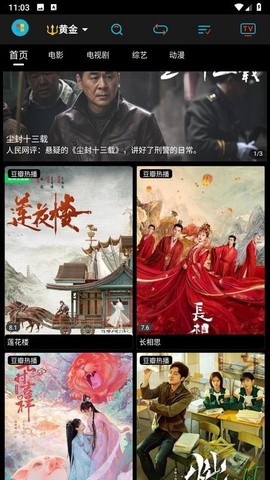 黄金影视[图1]