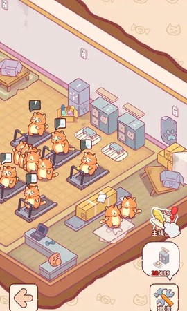 猫咪健身房[图1]