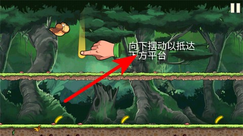 香蕉金刚[图3]