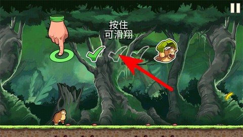 香蕉金刚[图4]