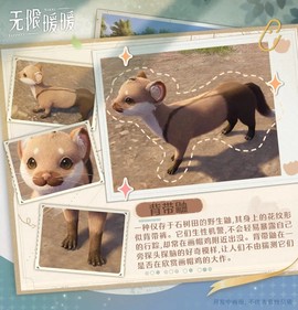 无限暖暖国际服[图8]