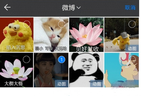 蝙蝠聊天软件[图8]