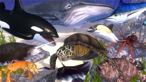 海洋动物模拟器[图3]