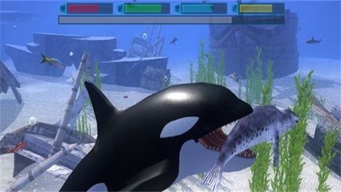 海洋动物模拟器截图2