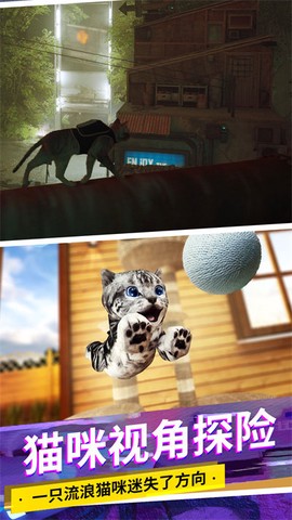 猫咪城市模拟截图1