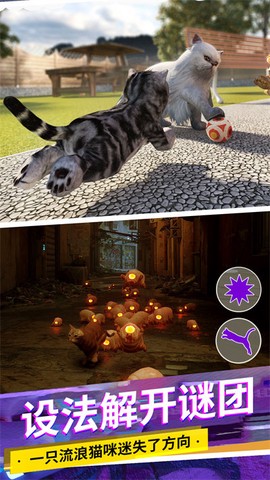 猫咪城市模拟截图2
