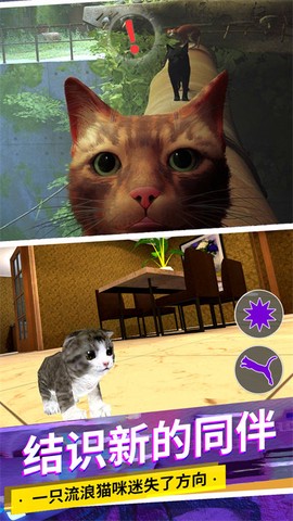 猫咪城市模拟截图3