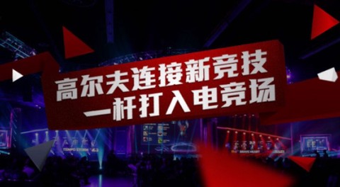 佰佳高尔夫[图2]