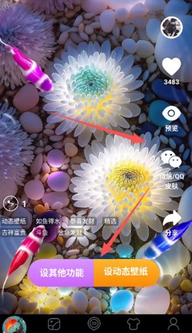 锦鲤金鱼壁纸截图1