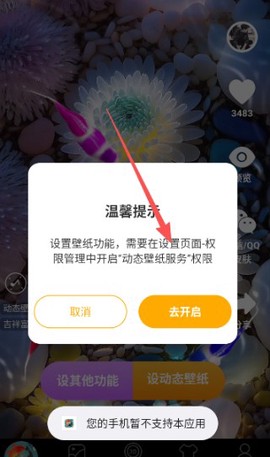 锦鲤金鱼壁纸截图2