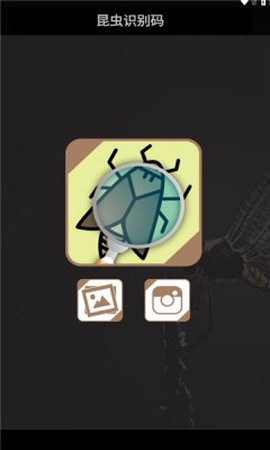 昆虫识别码截图3
